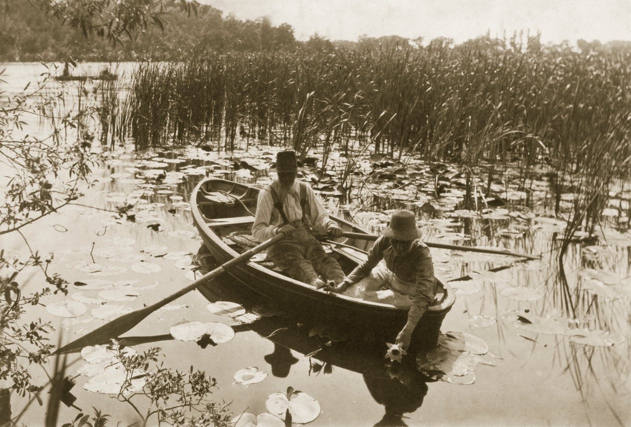 Récolte des nénuphars, 1886 - Peter Emerson und Thomas Goodall