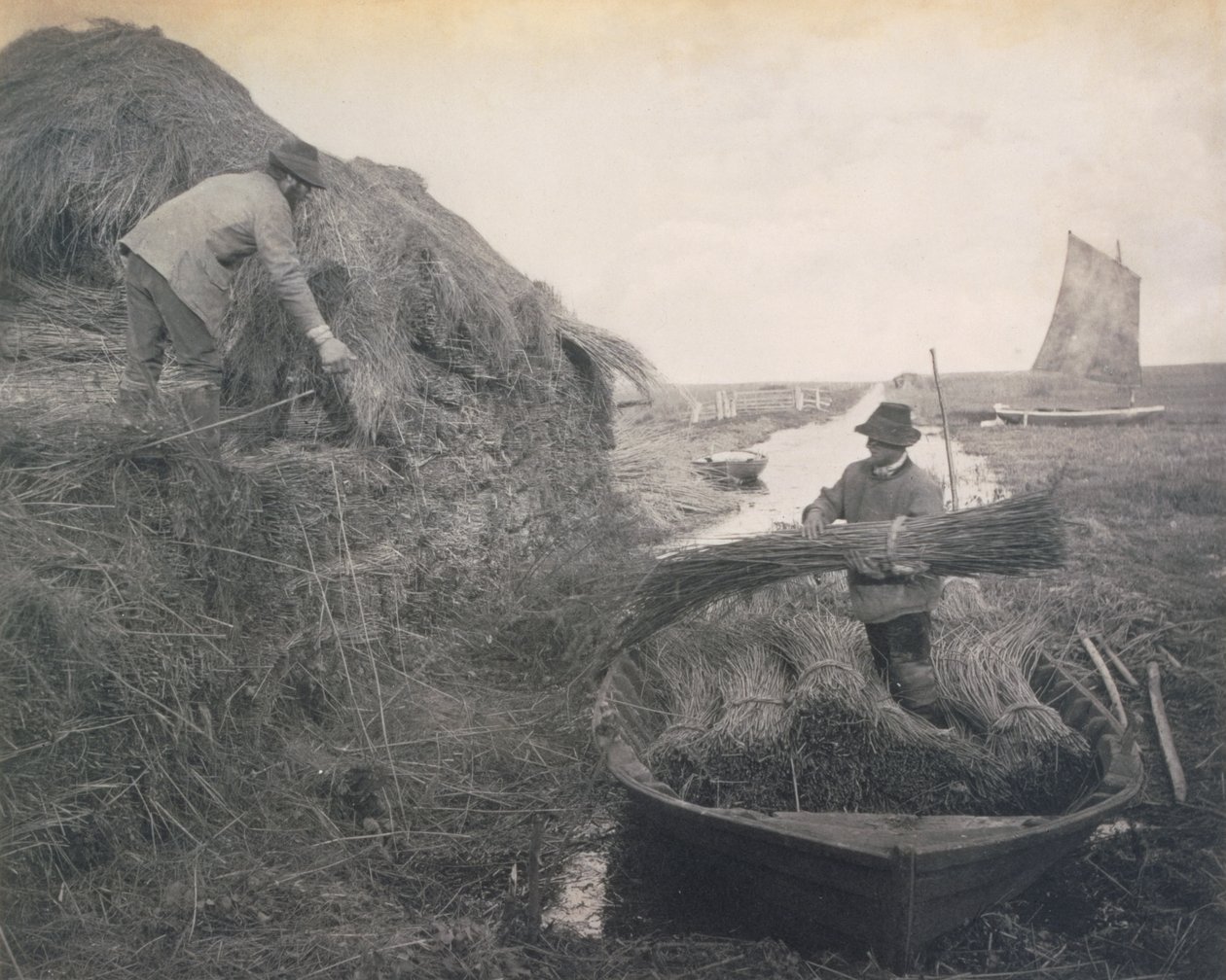 Ricking the Reed, Life and Landscape on the Norfolk Broads, c.1886 - Peter Emerson und Thomas Goodall