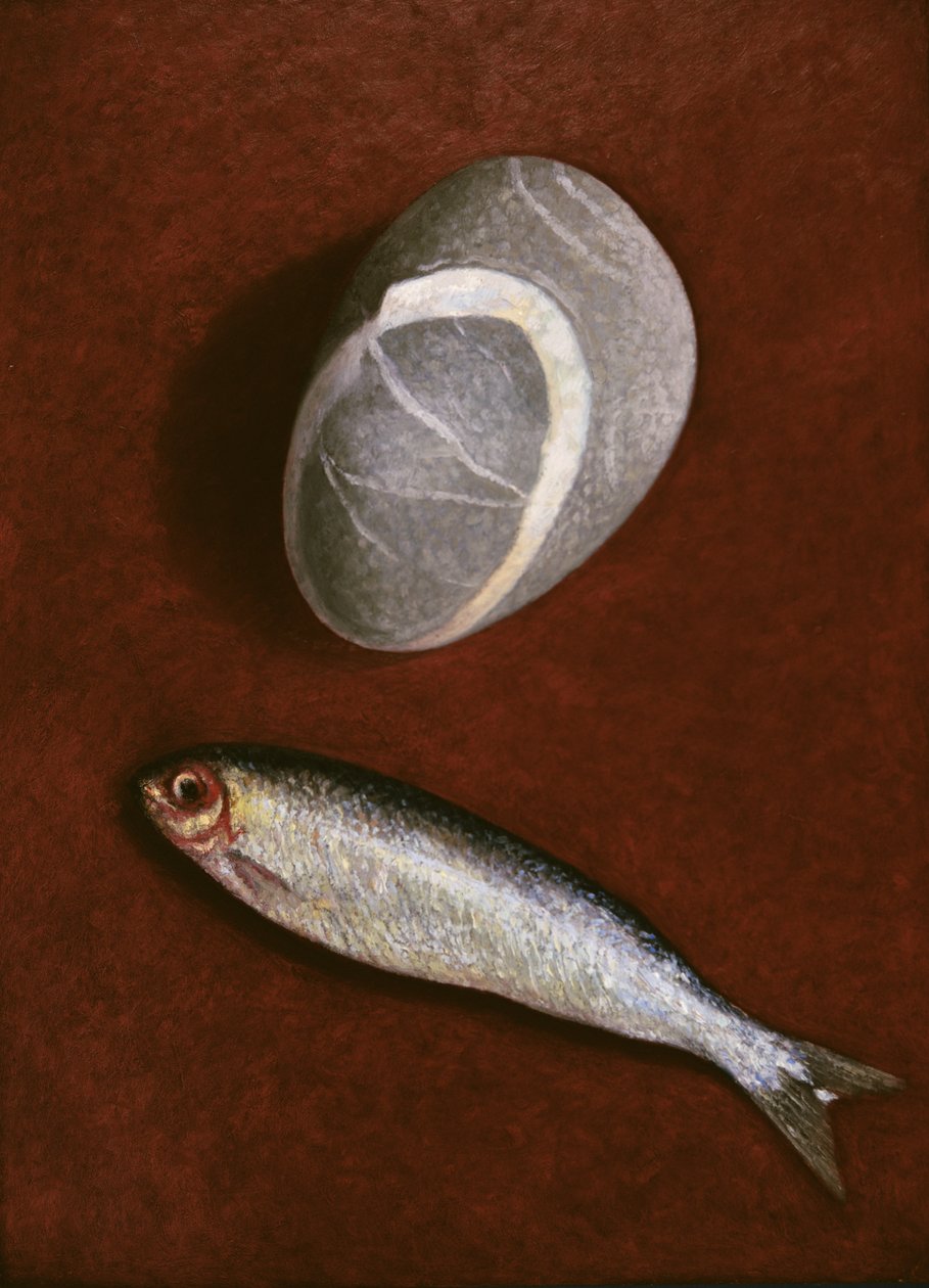 Poisson et forme rocheuse, 1997 - Peter Davidson