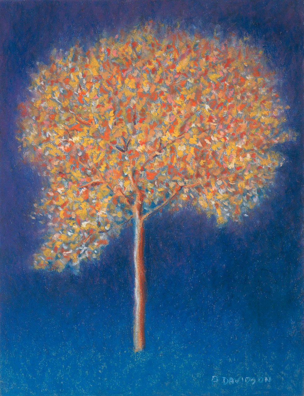 Arbre en fleur, 1997 - Peter Davidson