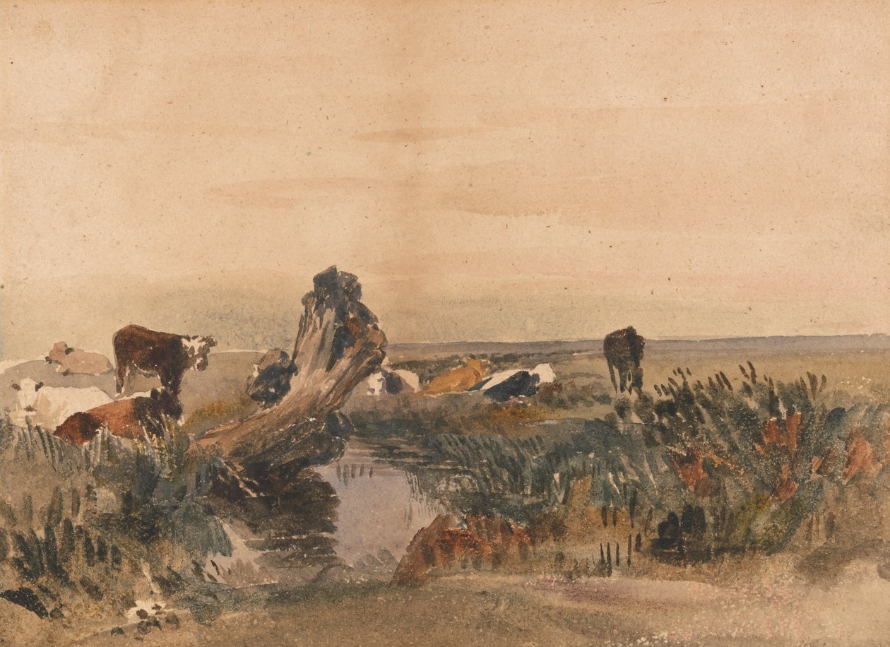 Bétail près d