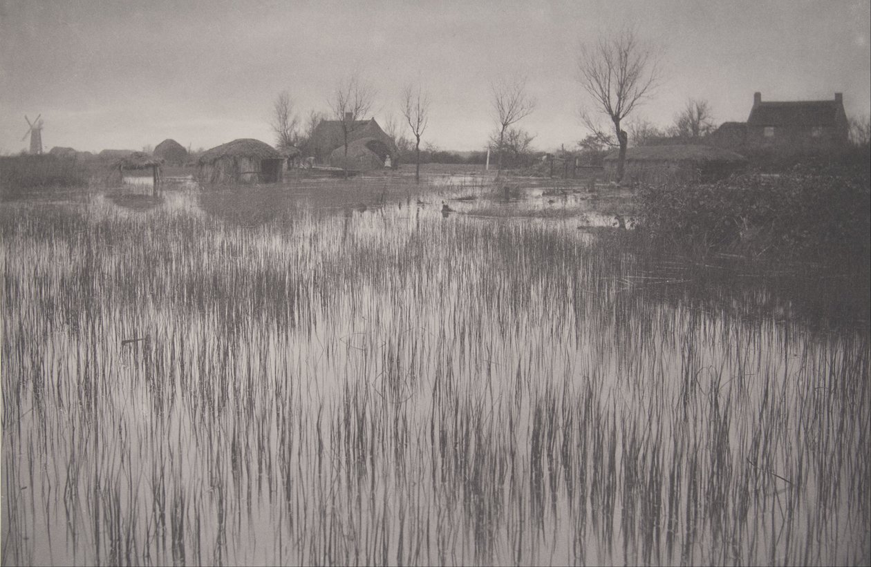 Une rive jonchée, planche XXXV de Life and Landscape on the Norfolk Broads - Peter Henry Emerson