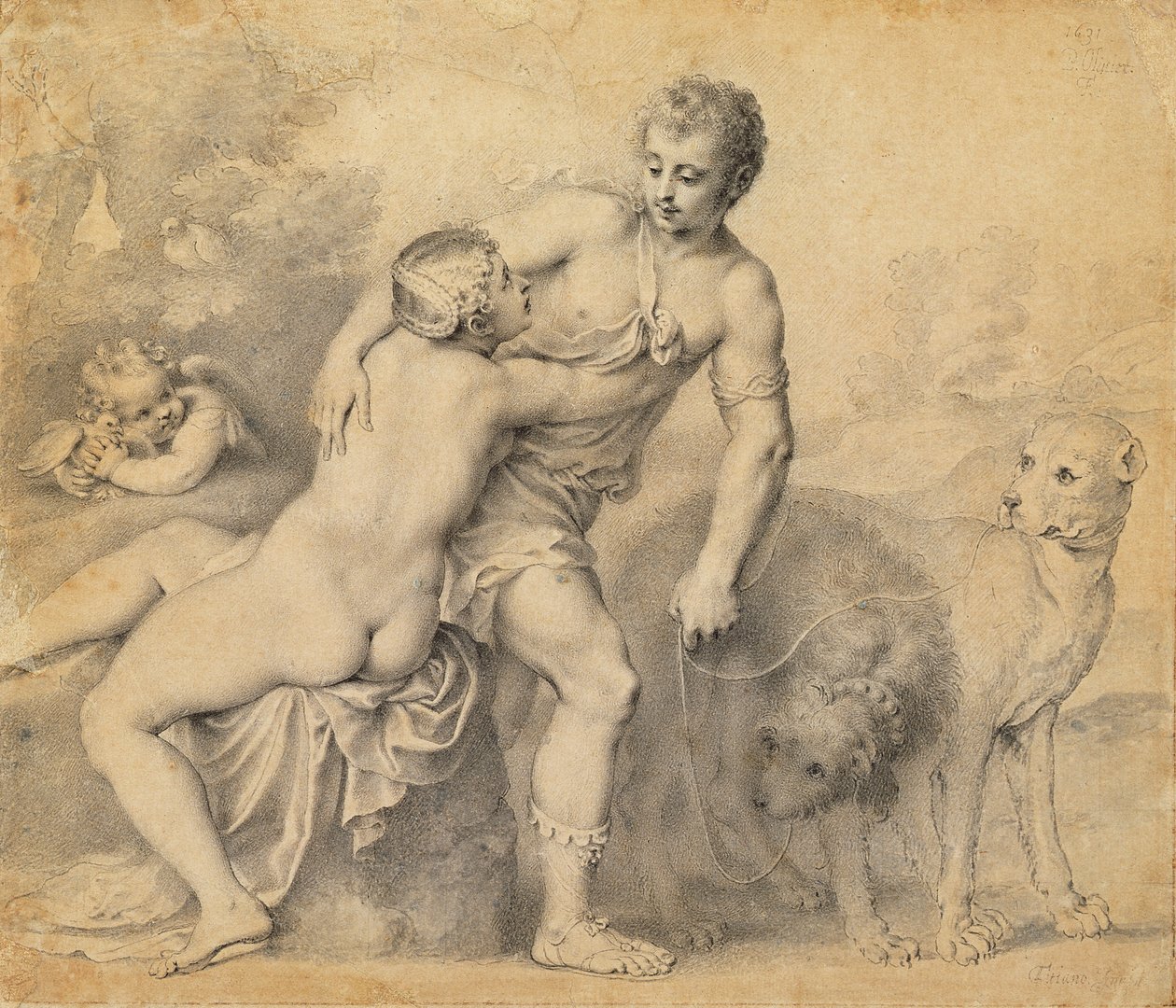 Vénus et Adonis, 1631 - Peter Oliver