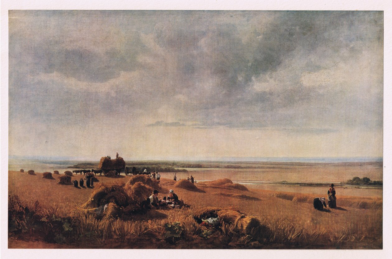 Le Champ de blé - Peter de Wint