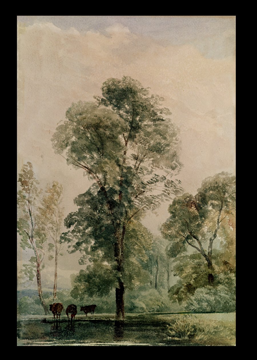 Abreuvoir - Peter de Wint