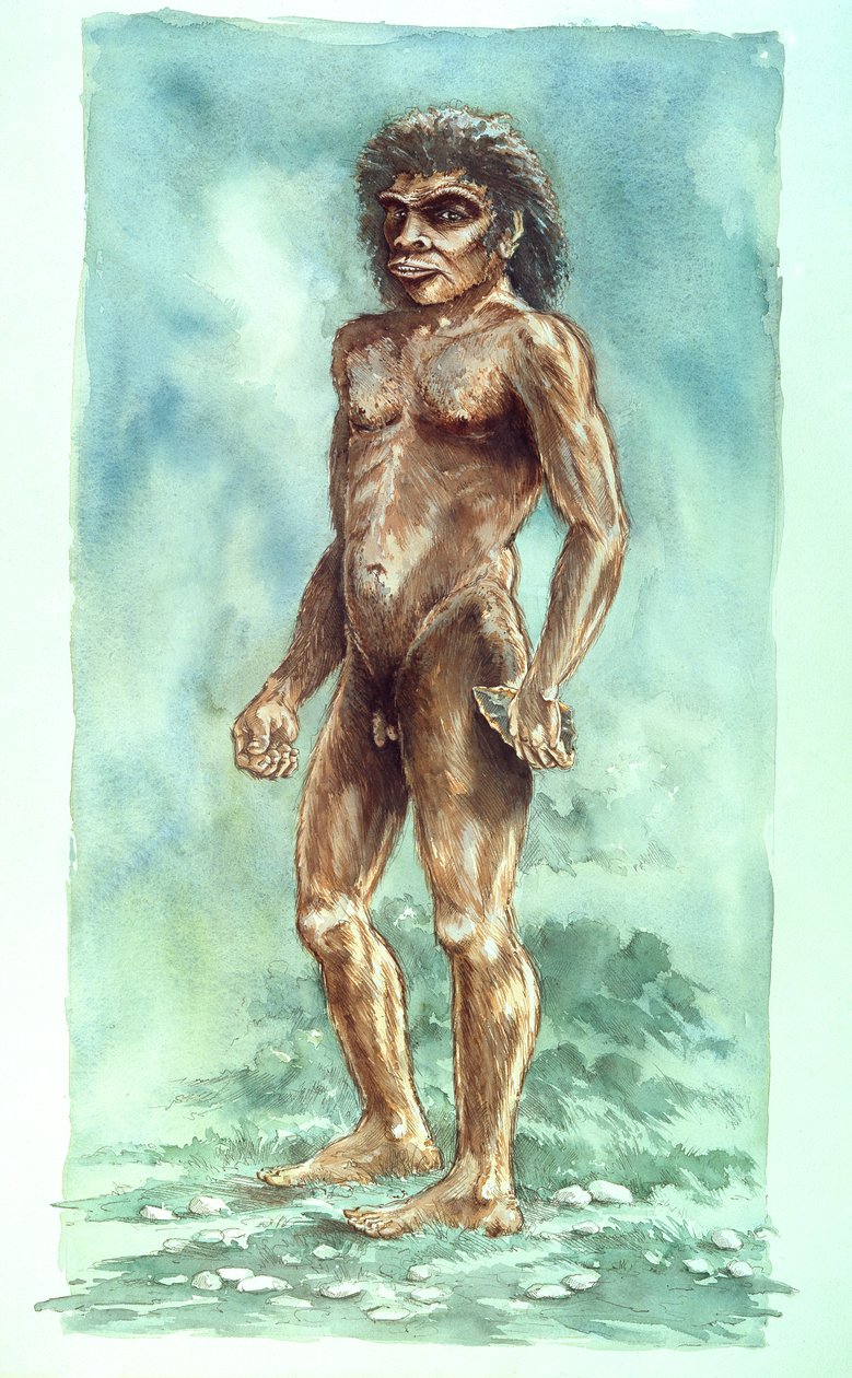 Homme de Boxgrove, préhistorique, 1990-2010 - Peter Dunn
