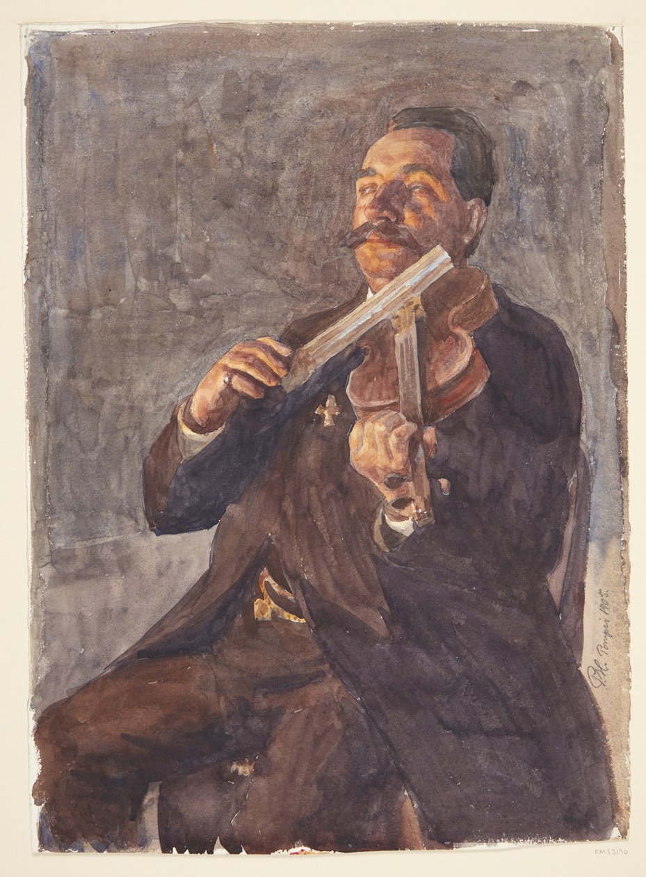 Il professore cavalieri di Luca - Peter Hansen