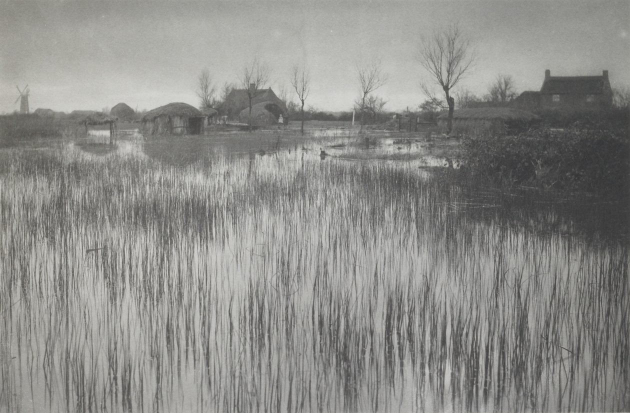Un rivage rustique - Peter Henry Emerson