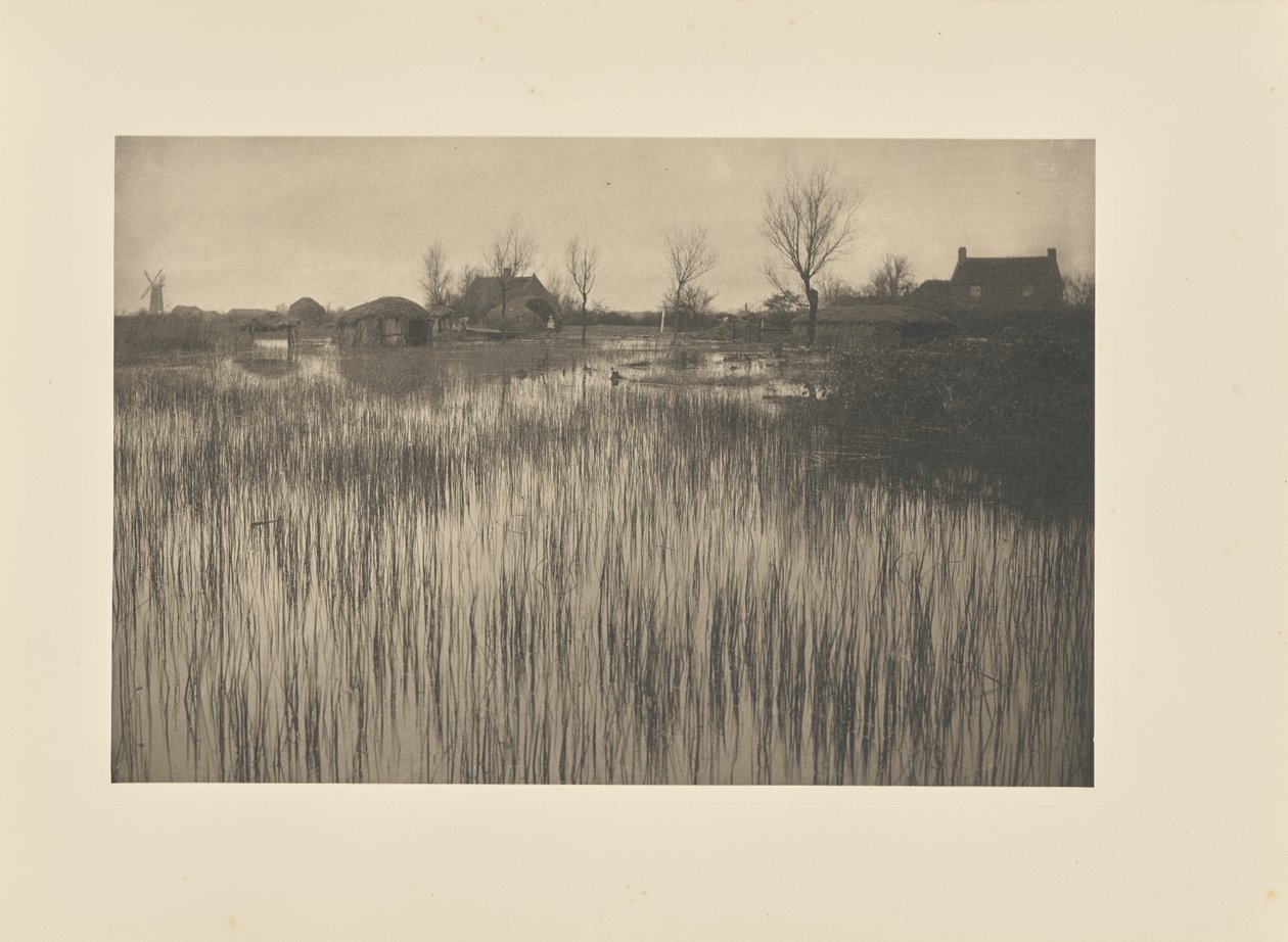 Un rivage rustique - Peter Henry Emerson