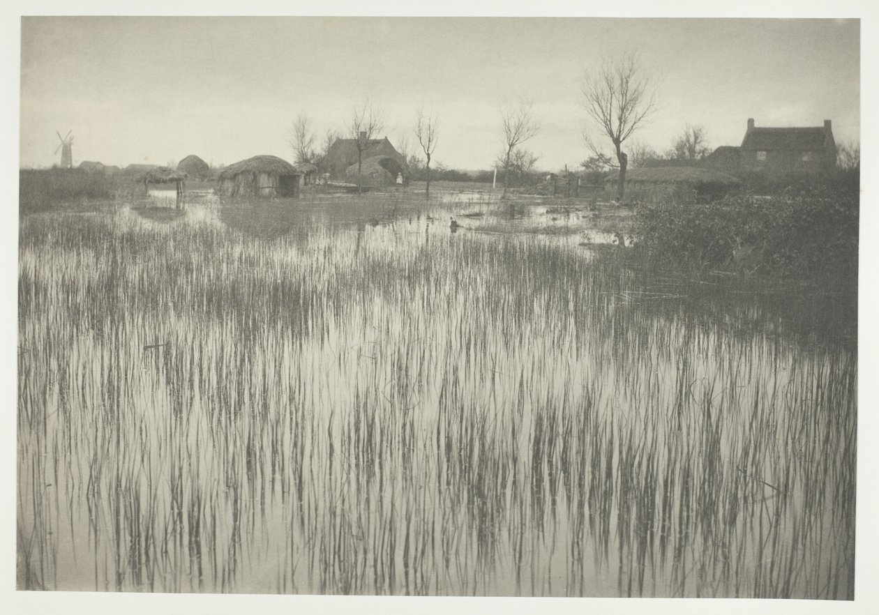 Un rivage rustique - Peter Henry Emerson