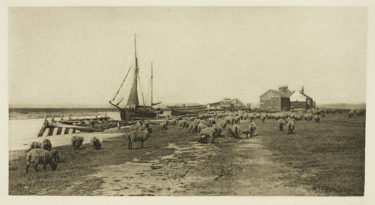 Blackshore, rivière Blythe (Suffolk) - Peter Henry Emerson