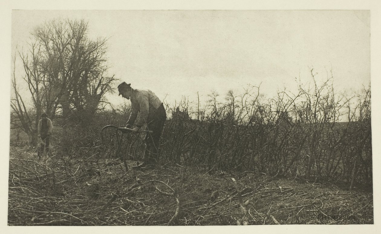 Escrime dans le Suffolk - Peter Henry Emerson