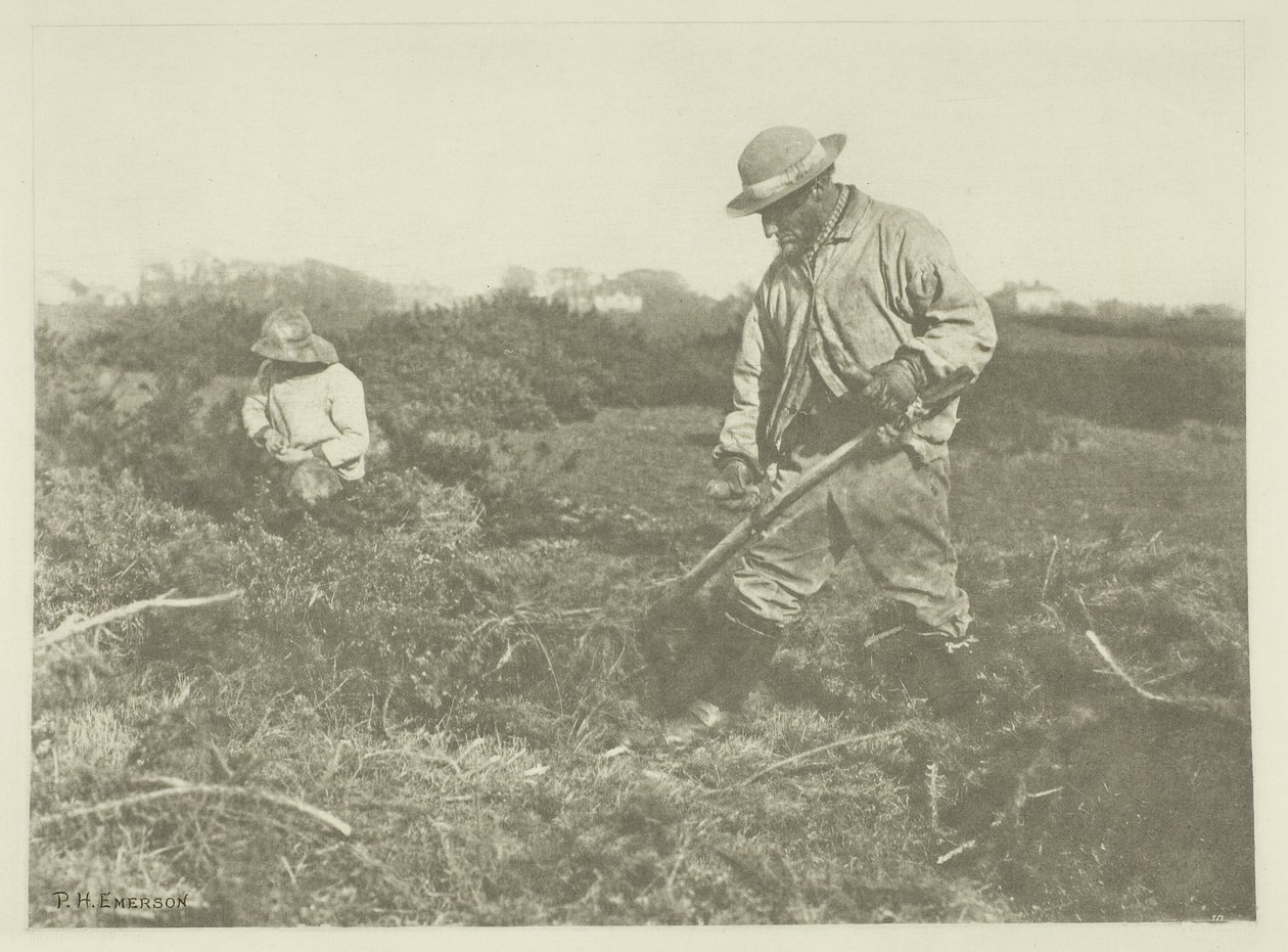 Coupe de genêts sur une commune du Suffolk - Peter Henry Emerson