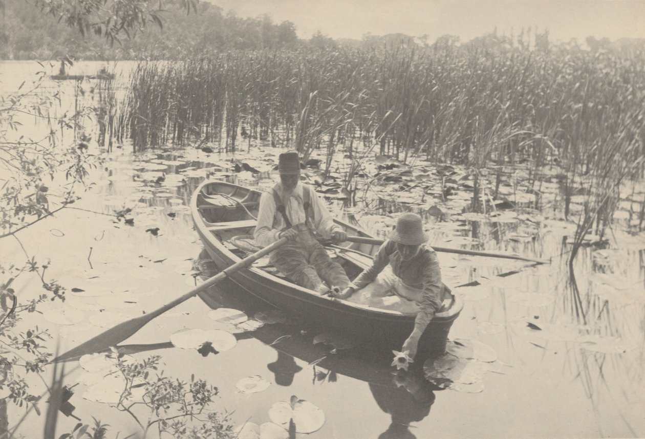La cueillette des nénuphars,1886 (photo) - Peter Henry Emerson