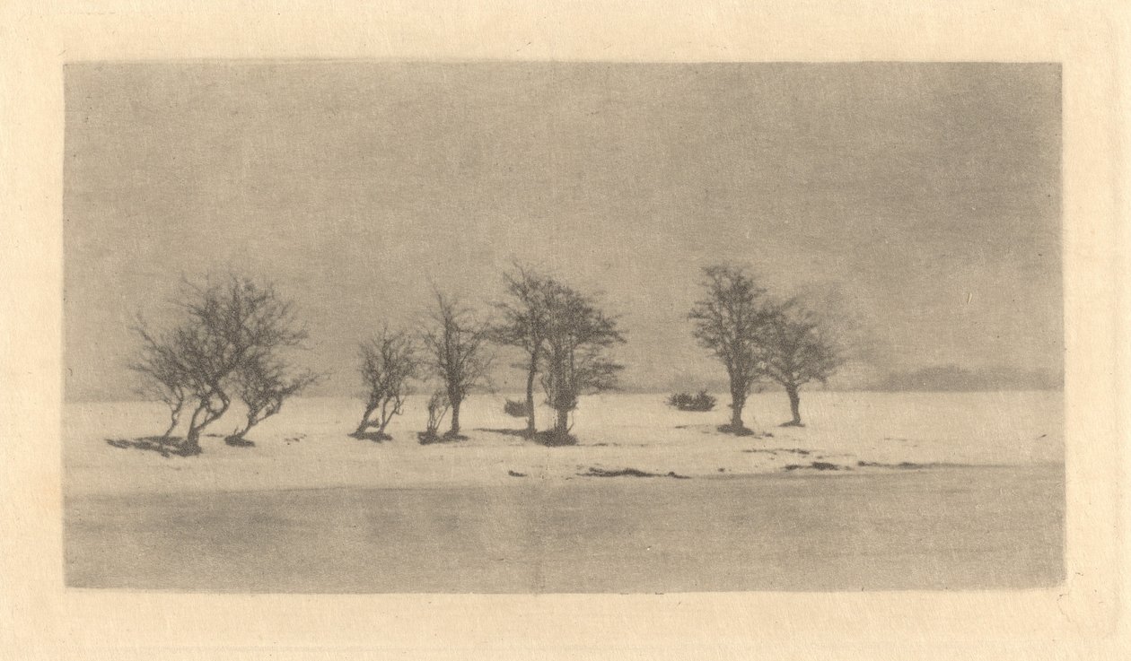 Arbres Noueux-Épineux - Peter Henry Emerson