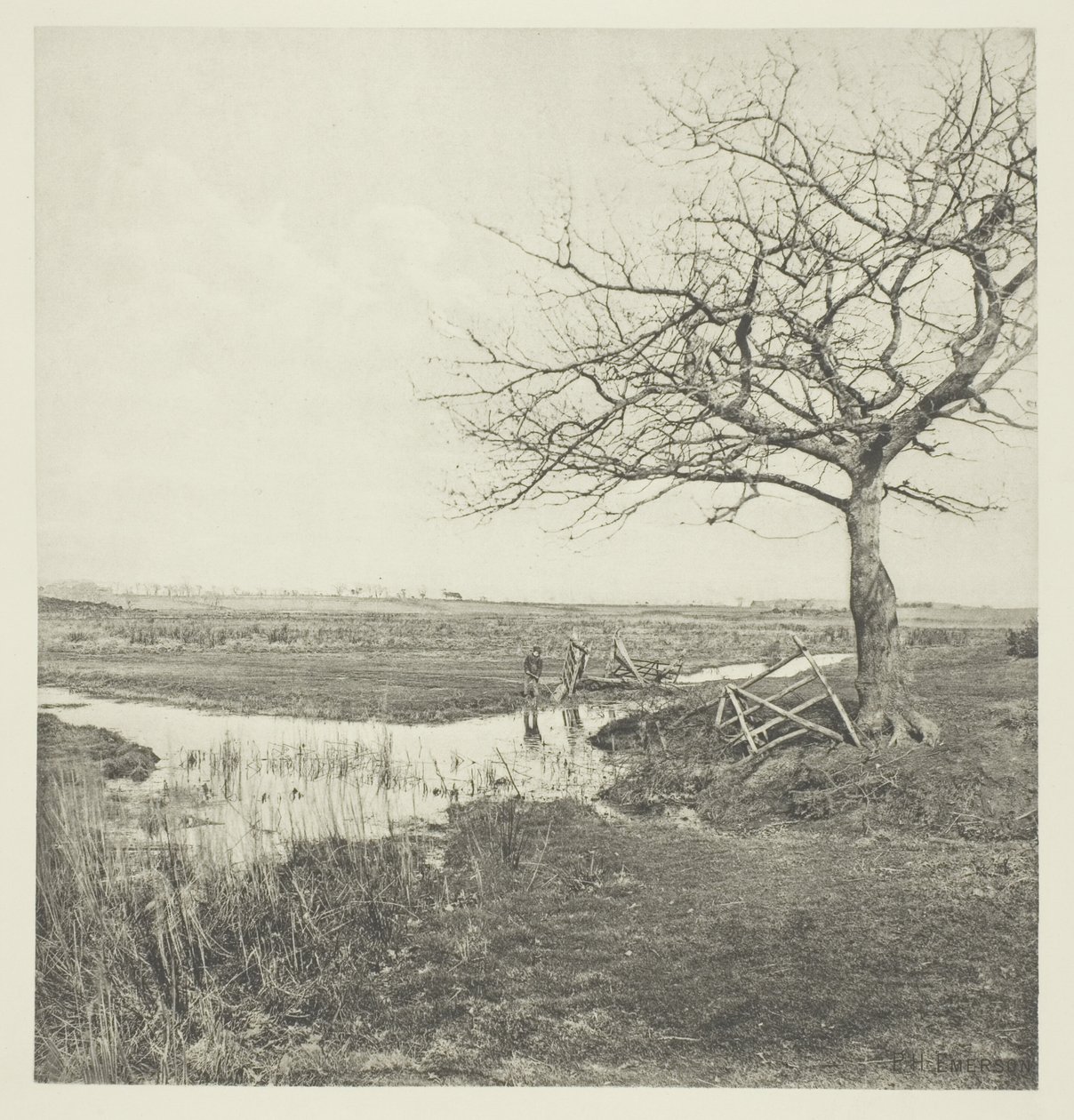 Mars sans feuilles (Suffolk) - Peter Henry Emerson