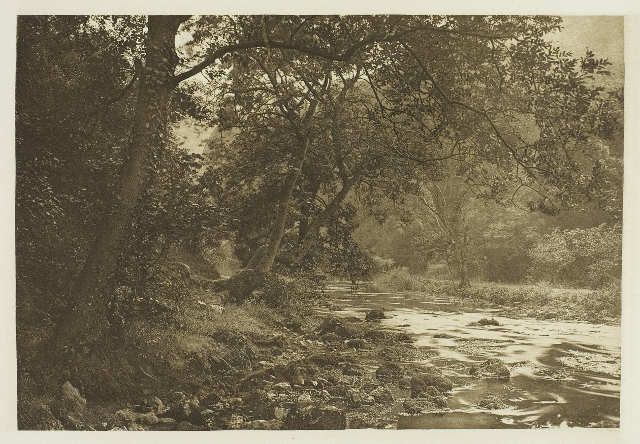 Près de Reynard