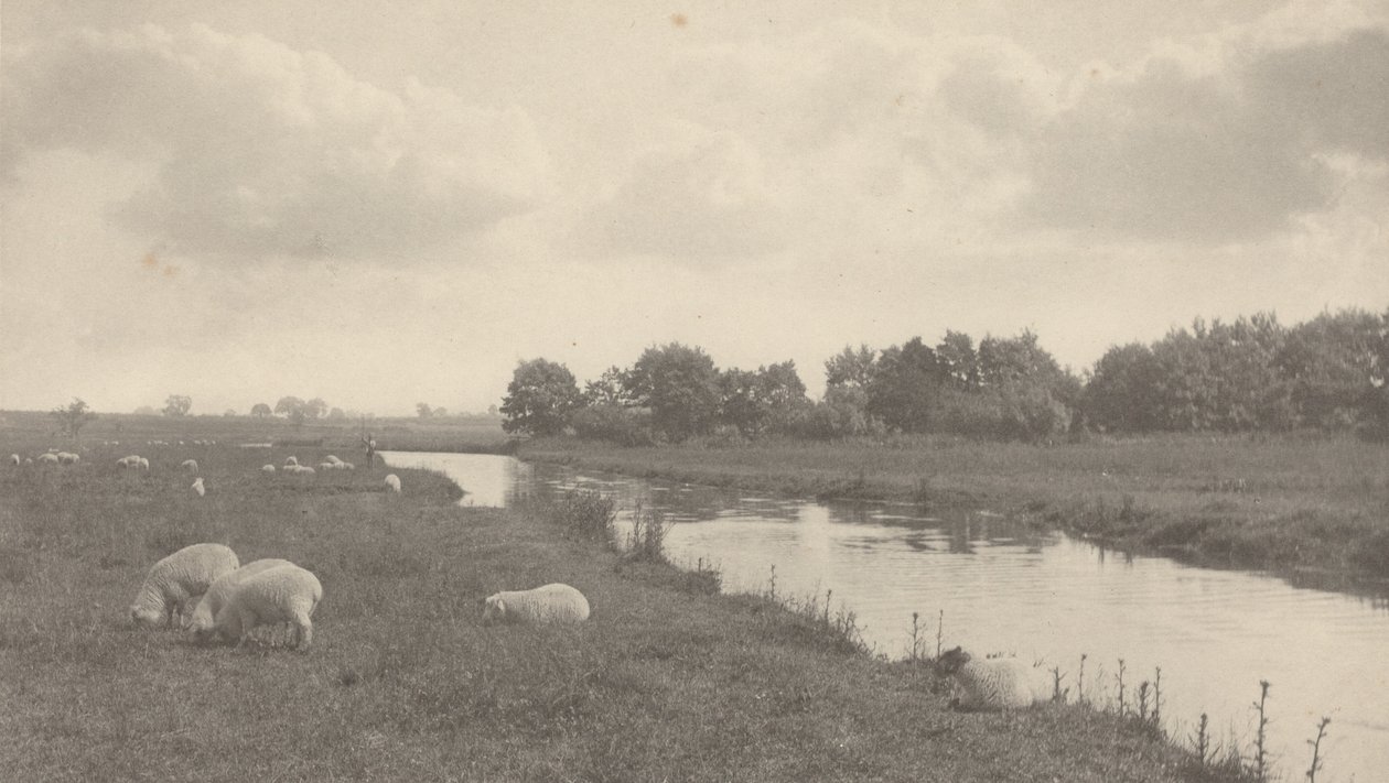 Sur la Bure, 1886 (photo) - Peter Henry Emerson
