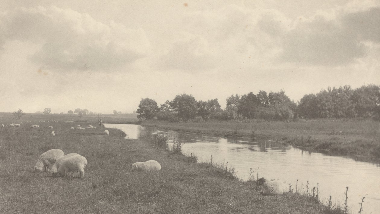 Sur la rivière Bure, 1886 - Peter Henry Emerson