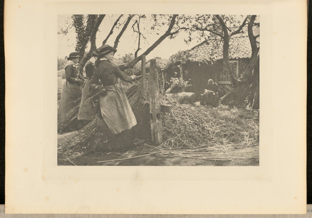 OsierPeeling. [Norfolk]]. - Peter Henry Emerson