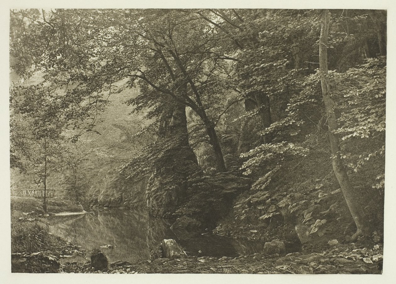 "Pike Pool" (depuis le bas) - Peter Henry Emerson