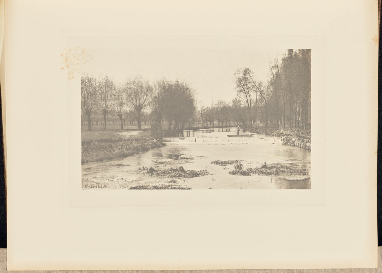 The Shoot, pêcherie d