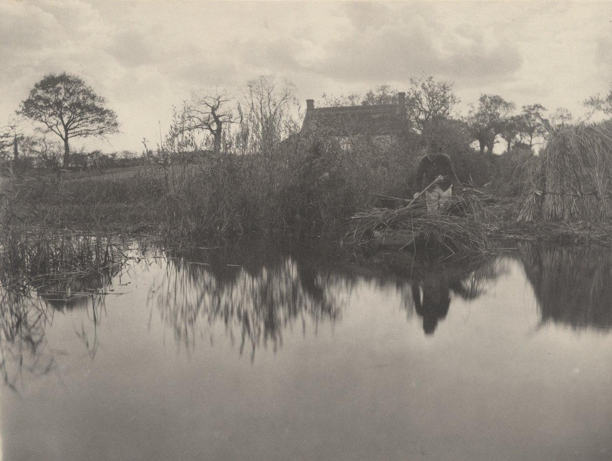 Quanting the Gladdon - Peter Henry Emerson and T.F. Goodall