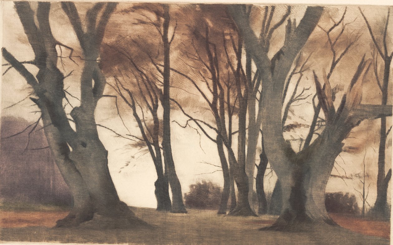Hêtres à Ermelunden - Peter Vilhelm Ilsted