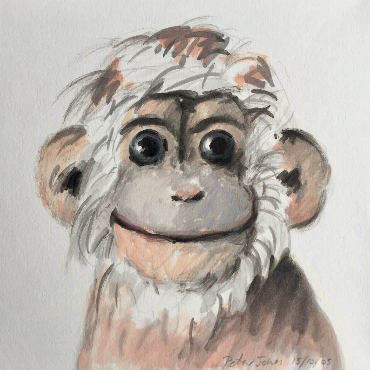 Singe heureux - Peter Jones