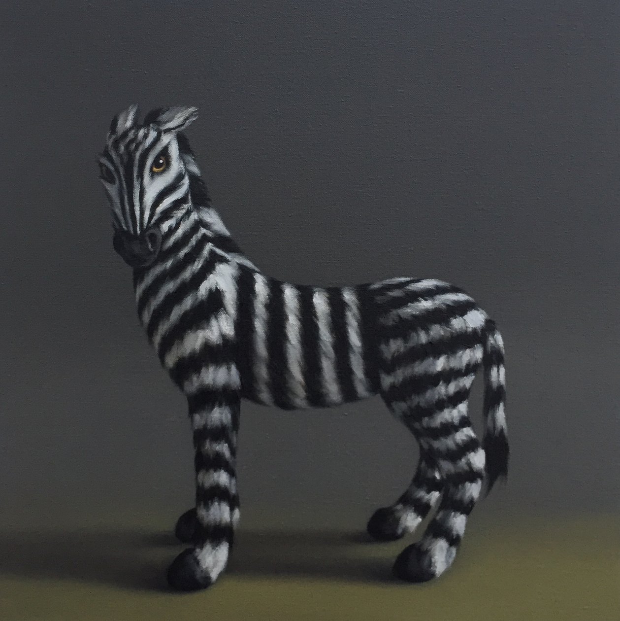 Zèbre - D