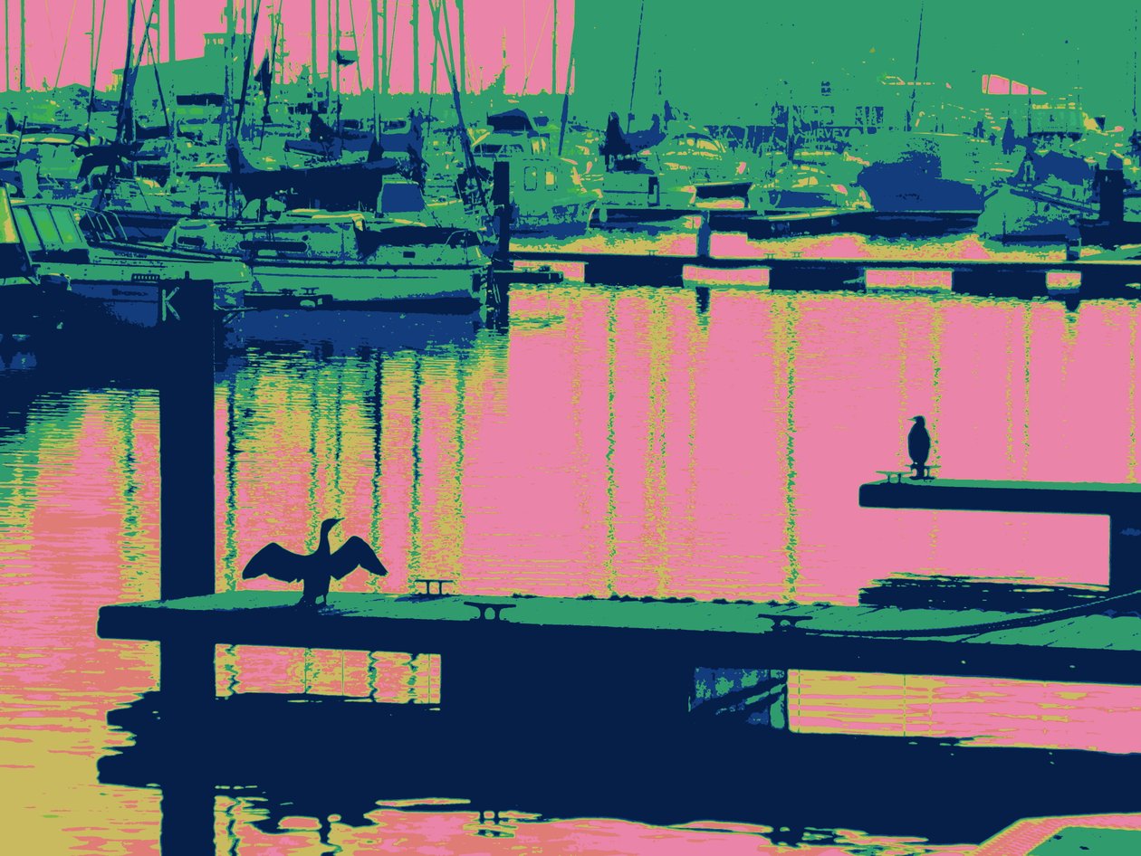 COURT-SHIP HARTLEPOOL, 2014 - Peter McClure
