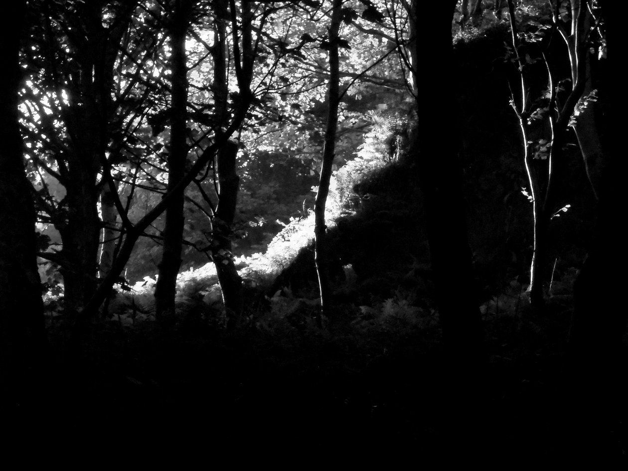 KINTYRE... PLUS. 17 - Peter McClure