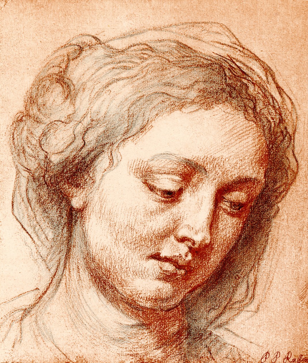 Tête de fille - Peter Paul Rubens