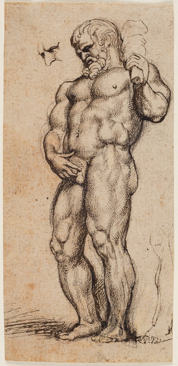 Hercule - Peter Paul Rubens