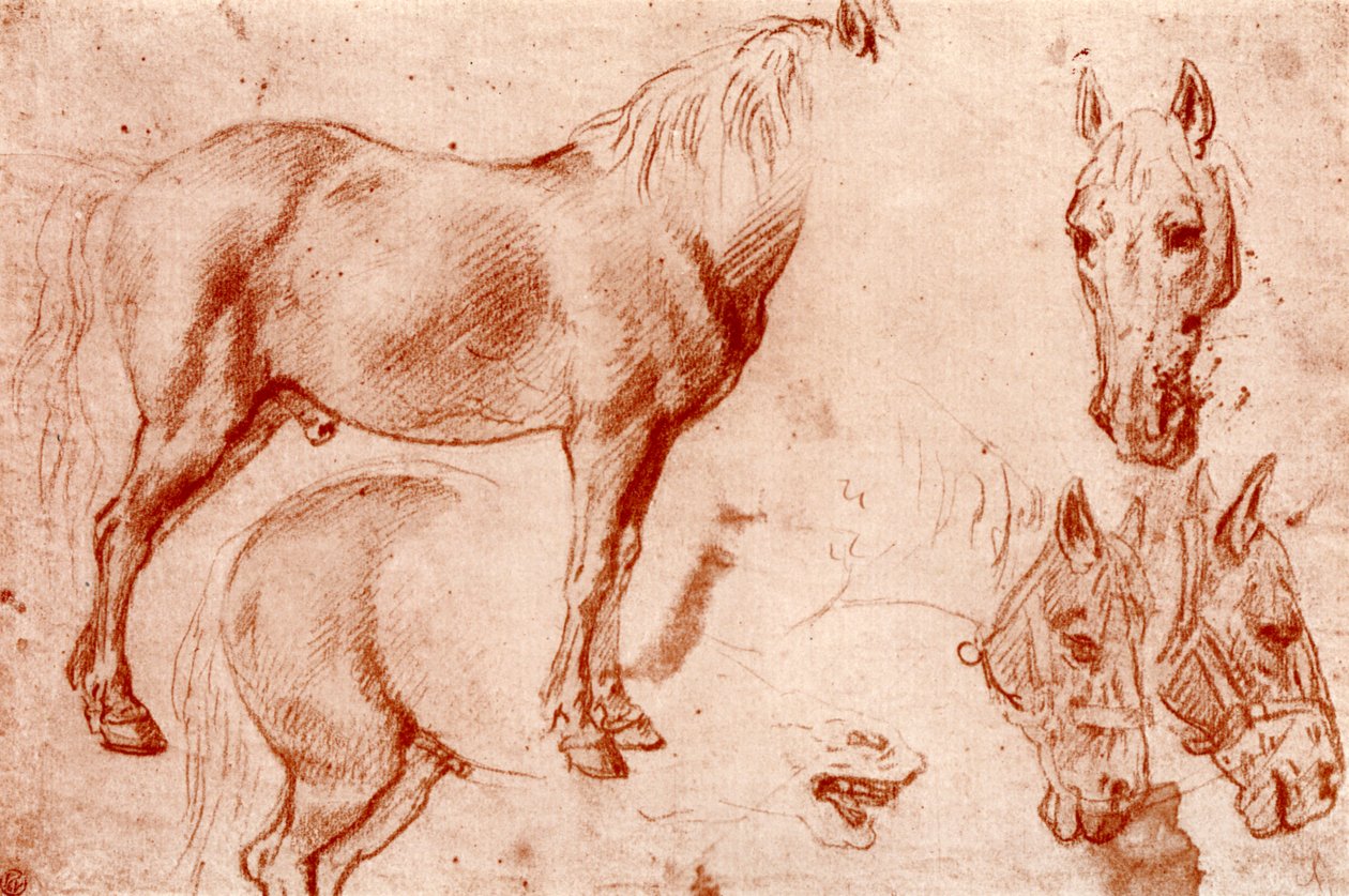 Études de chevaux, 1913 - Peter Paul Rubens