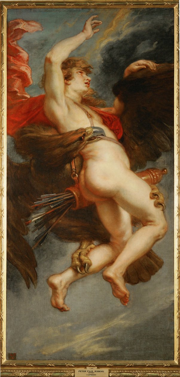 Le viol de Ganymède - Peter Paul Rubens