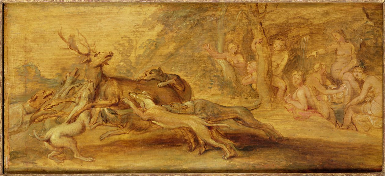 Image inconnue - Peter Paul Rubens