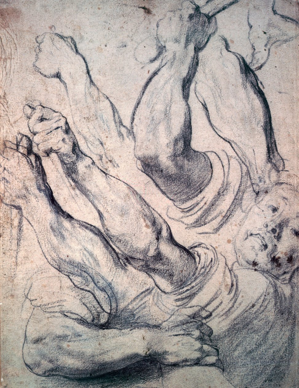Image inconnue - Peter Paul Rubens