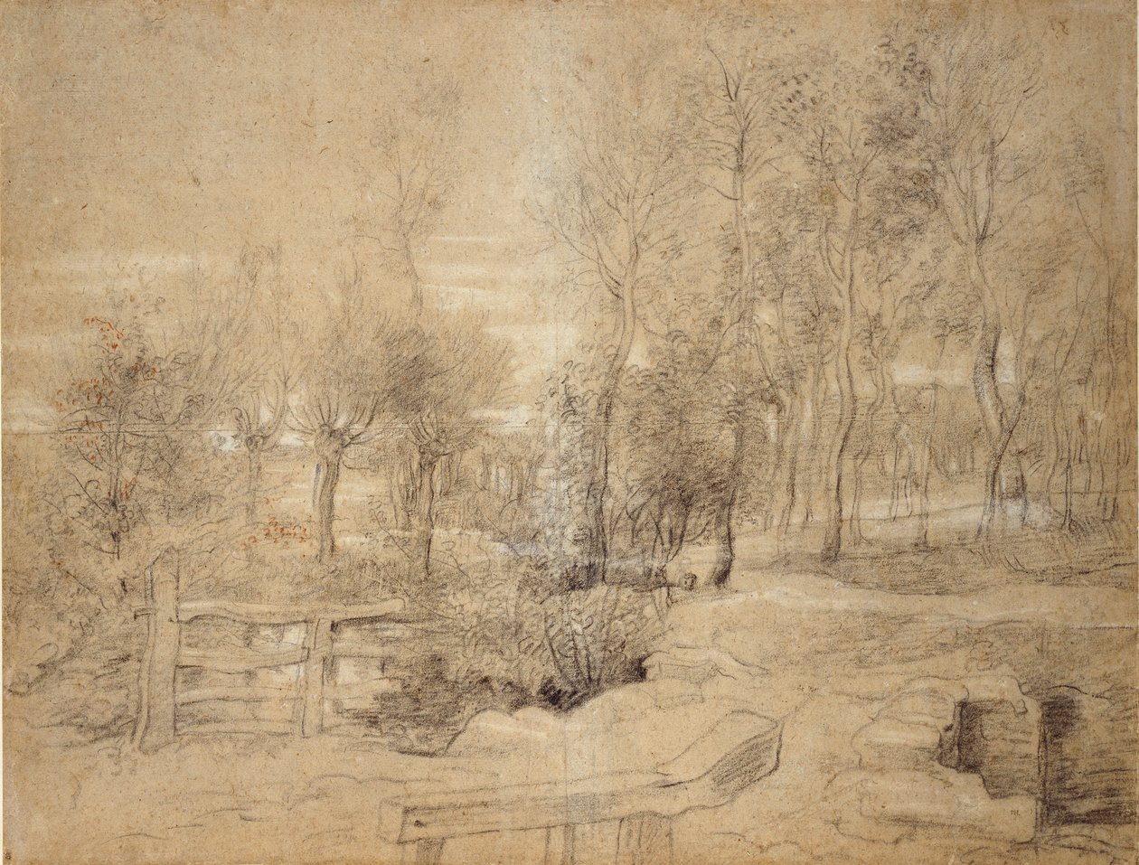 Scène boisée, début du XVIIe siècle - Peter Paul Rubens