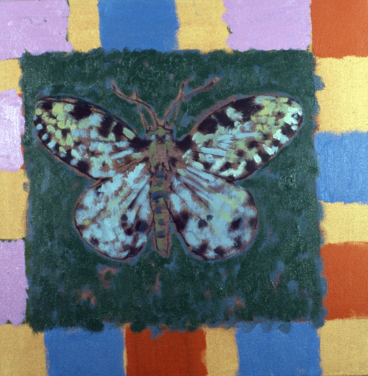 Mite léopard - Peter Wilson