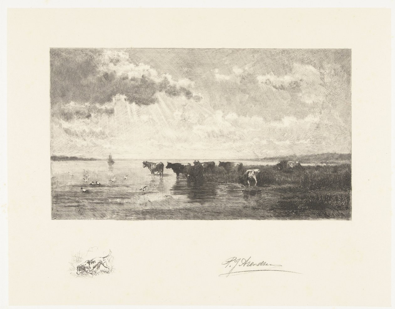Bovins près d