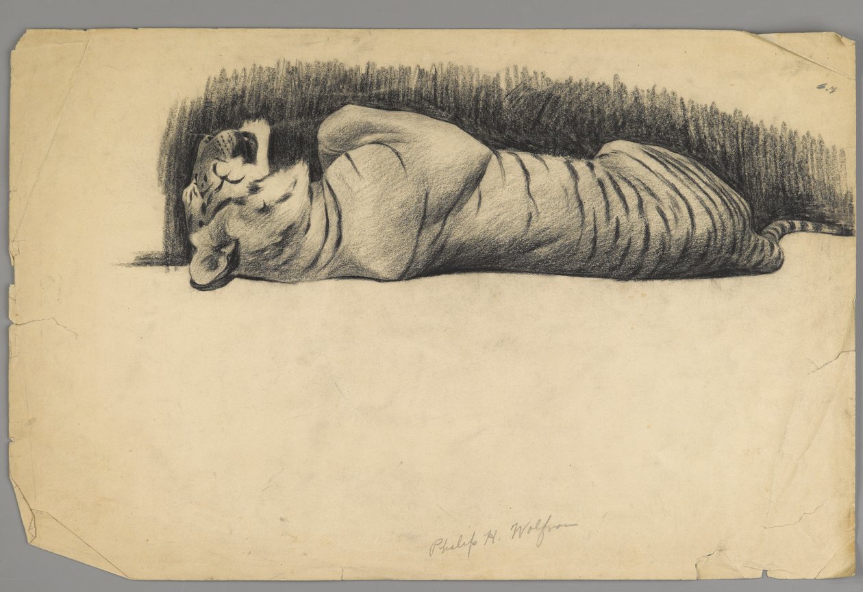 Tigre endormi - Philip H. Wolfrom