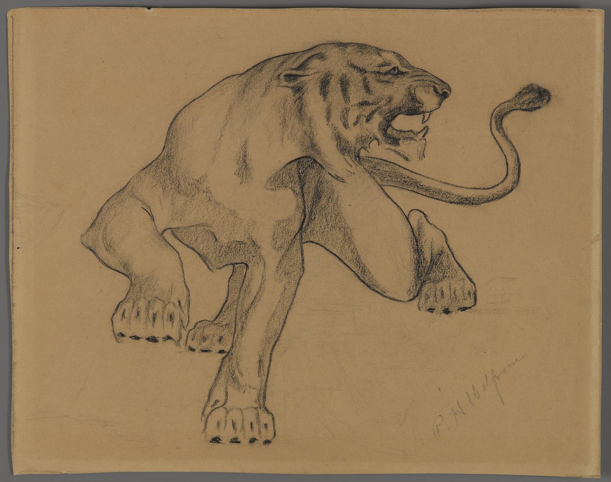 Tigre - Philip H. Wolfrom