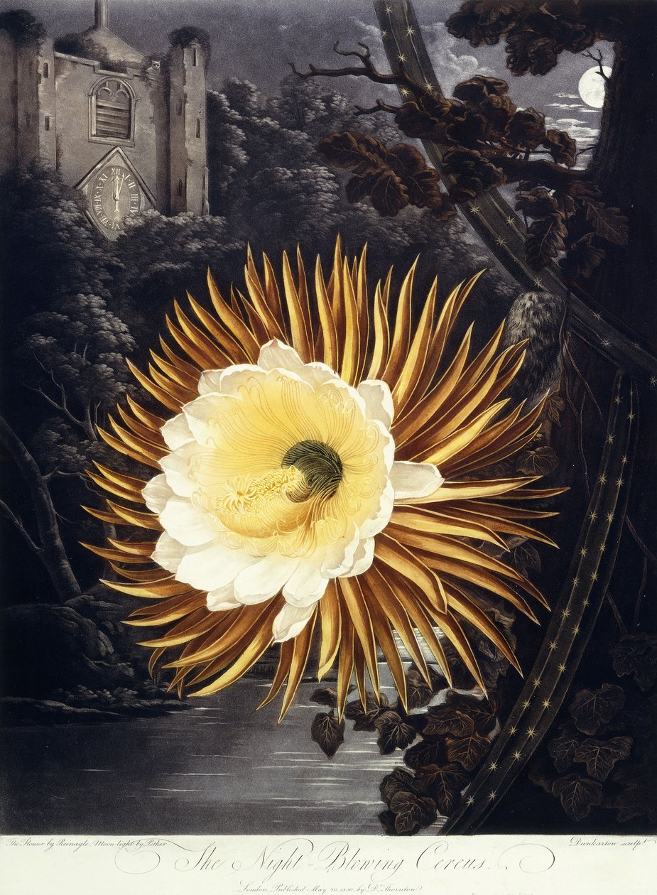 Le Cierge nocturne - Philip Reinagle