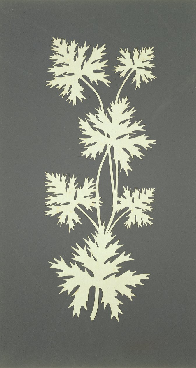 Feuilles - Philipp Otto Runge