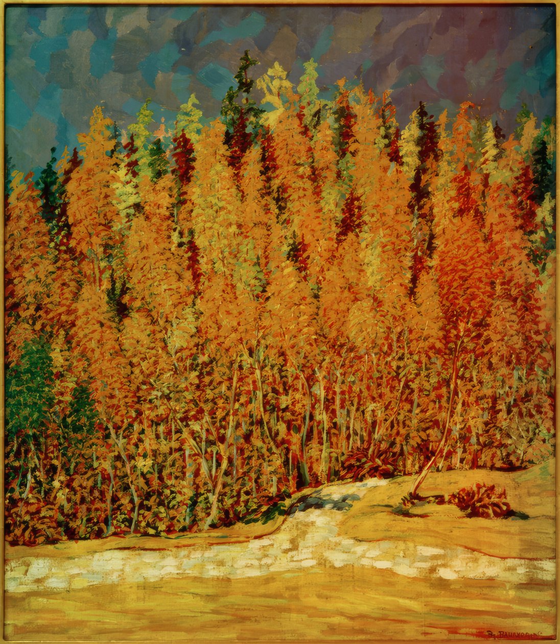 Forêt d