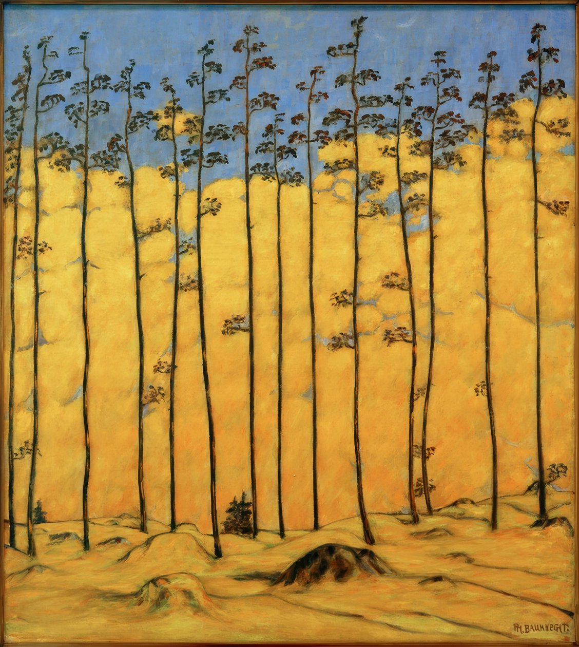Mélèzes, (Paysage de montagne) - Philipp Bauknecht