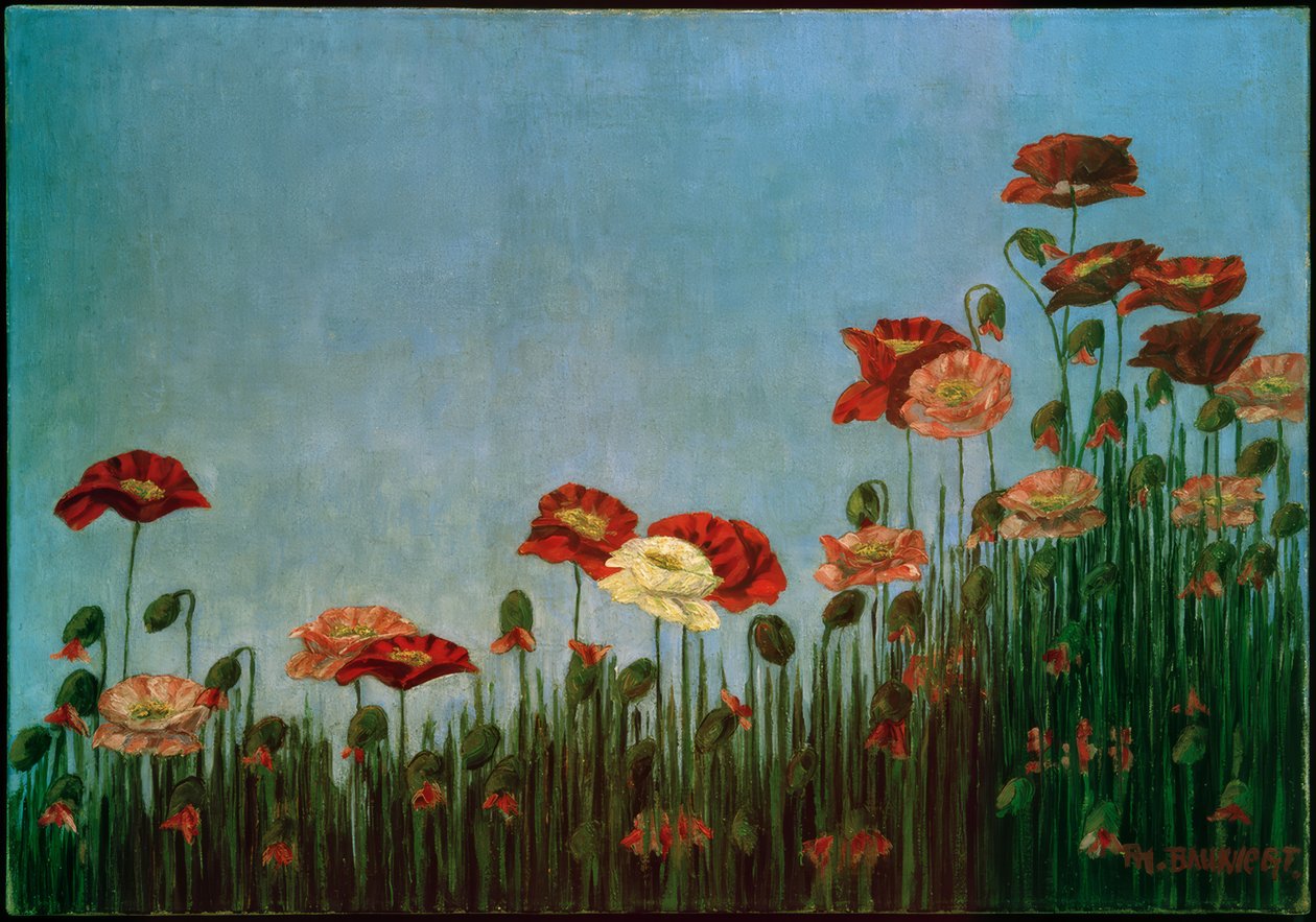 Coquelicots - Philipp Bauknecht