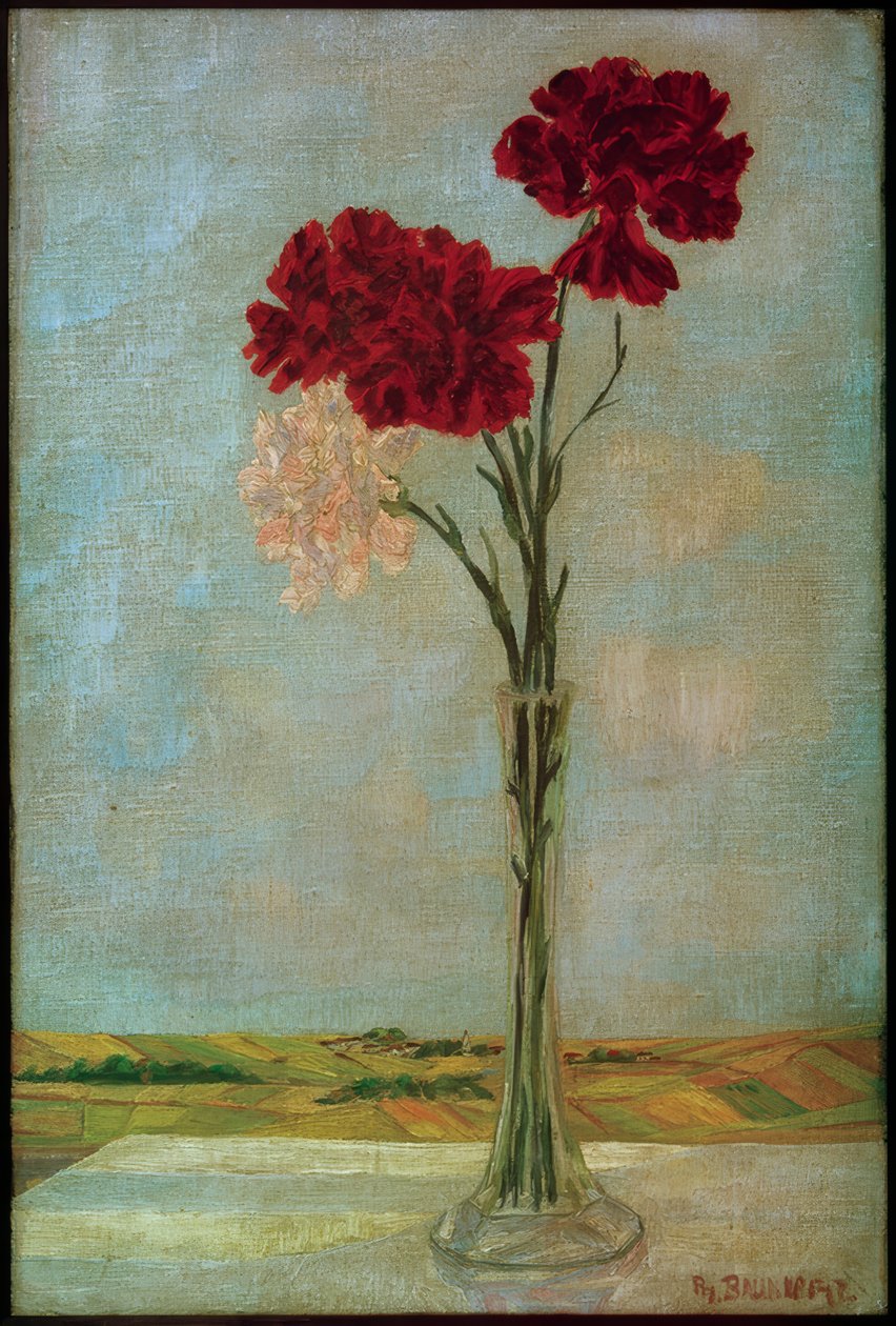 Œillets - Philipp Bauknecht