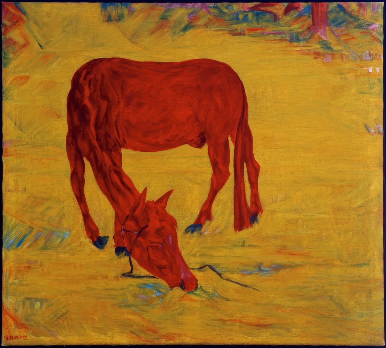 Cheval en liberté - Philipp Bauknecht